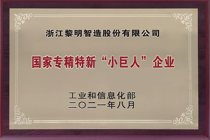 國家專精特新小巨人企業(yè)（2021）