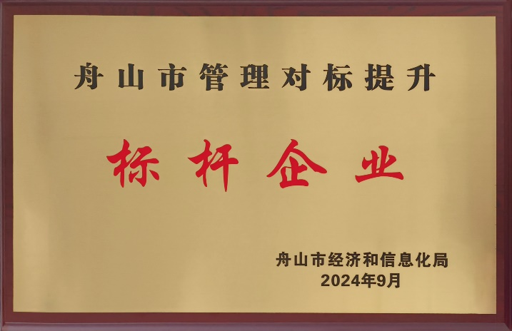 2024年舟山市管理對標(biāo)提升標(biāo)桿企業(yè)